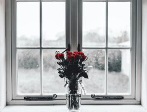 flower pot kept on the window